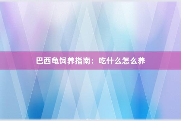 巴西龟饲养指南：吃什么怎么养