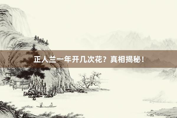 正人兰一年开几次花？真相揭秘！